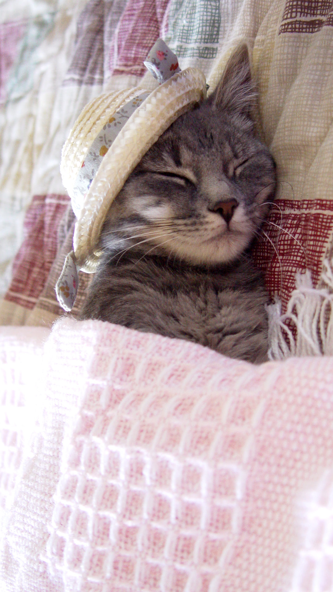 Cat sleeping under a small straw hat on a textured blanket