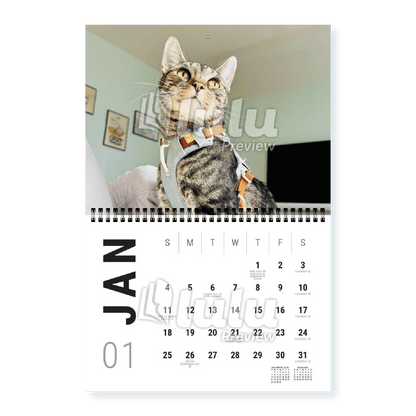 Adonis Sugar Kitty • 2026 Calendar