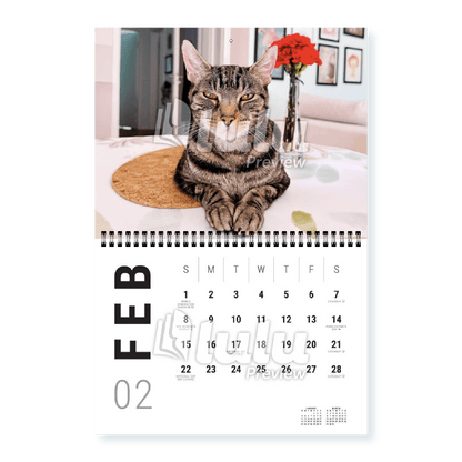 Adonis Sugar Kitty • 2026 Calendar