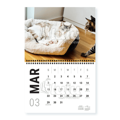 Adonis Sugar Kitty • 2026 Calendar