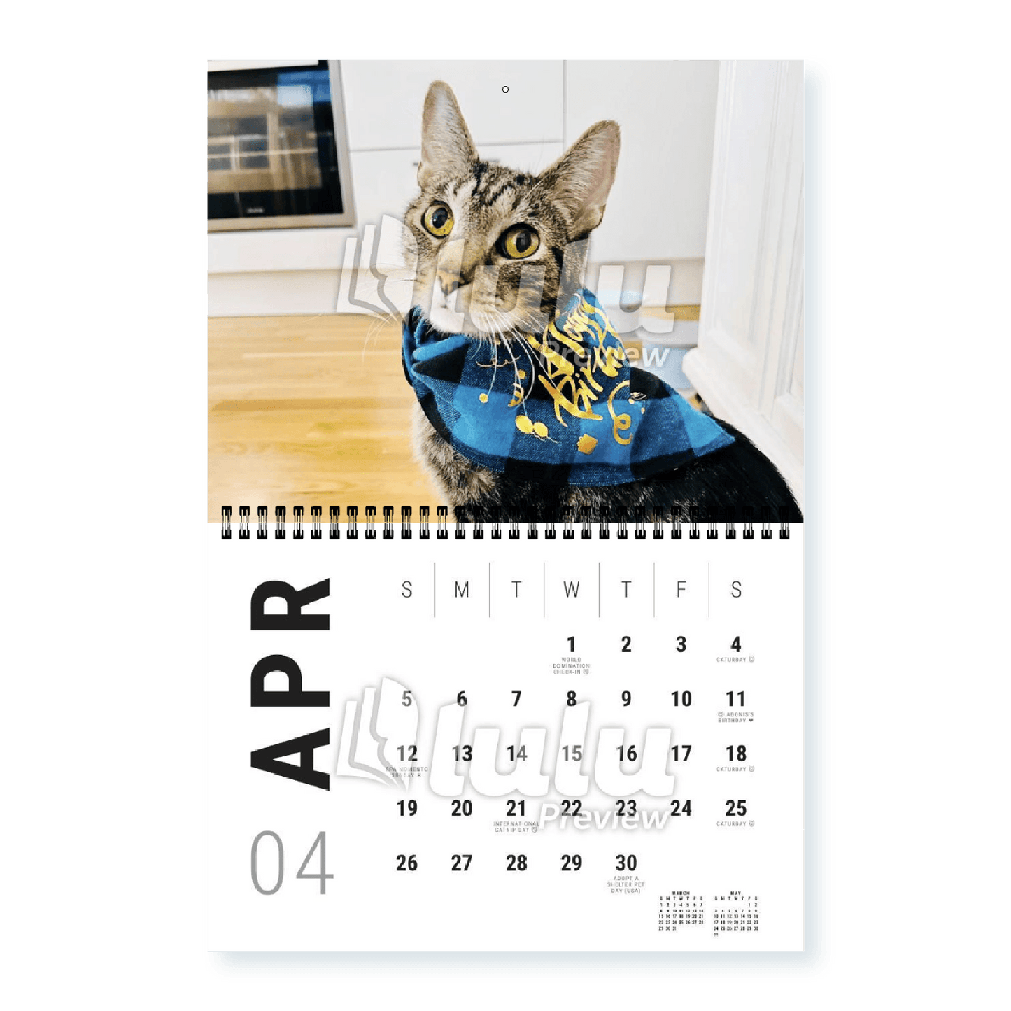 Adonis Sugar Kitty • 2026 Calendar