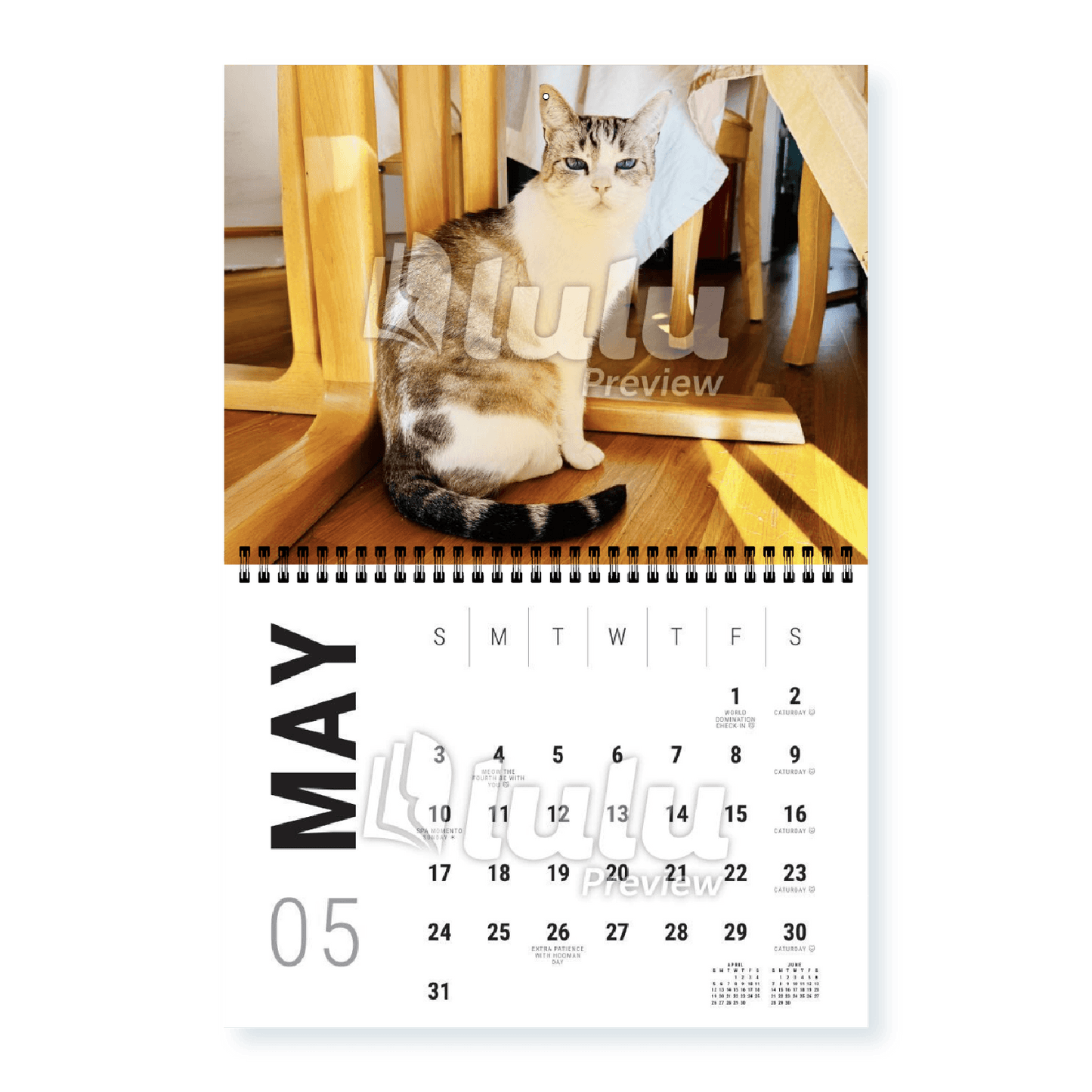 Adonis Sugar Kitty • 2026 Calendar