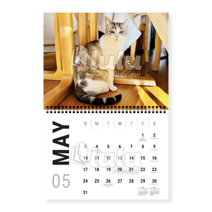 Adonis Sugar Kitty • 2026 Calendar