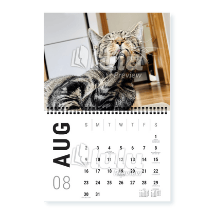 Adonis Sugar Kitty • 2026 Calendar