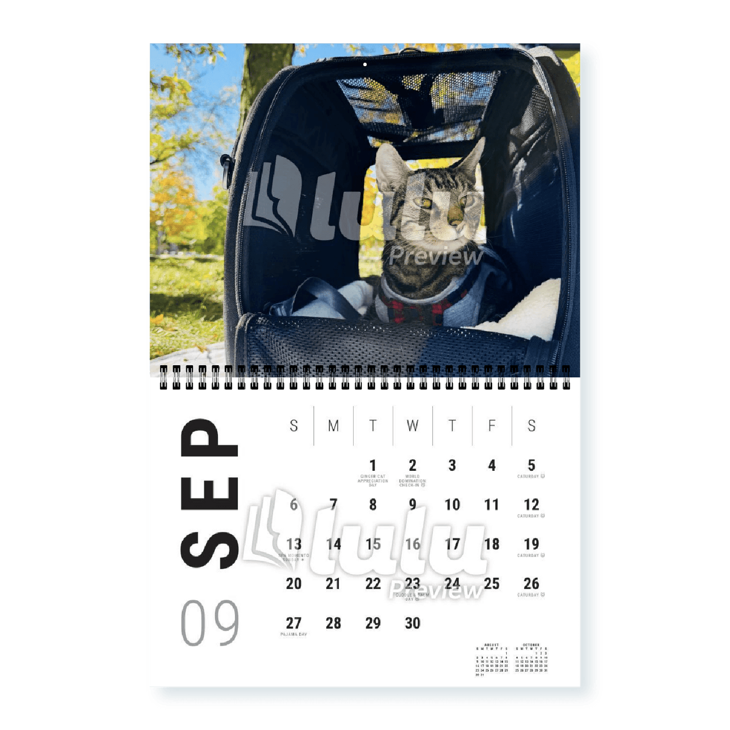 Adonis Sugar Kitty • 2026 Calendar