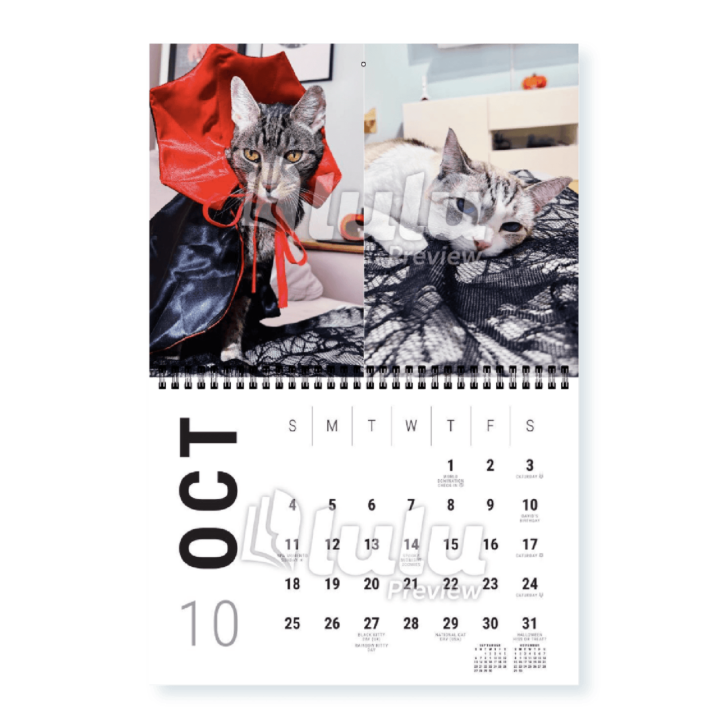 Adonis Sugar Kitty • 2026 Calendar