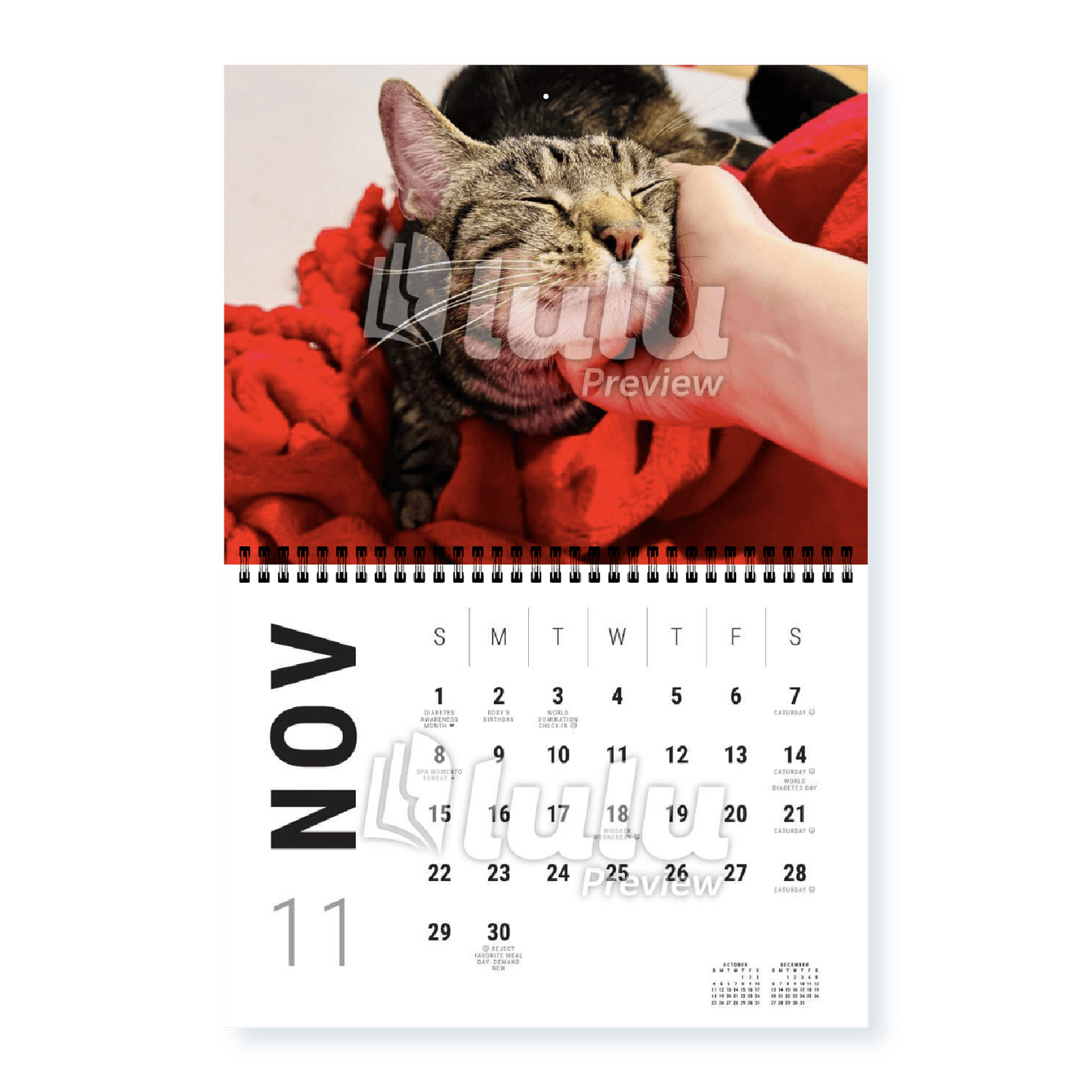 Adonis Sugar Kitty • 2026 Calendar