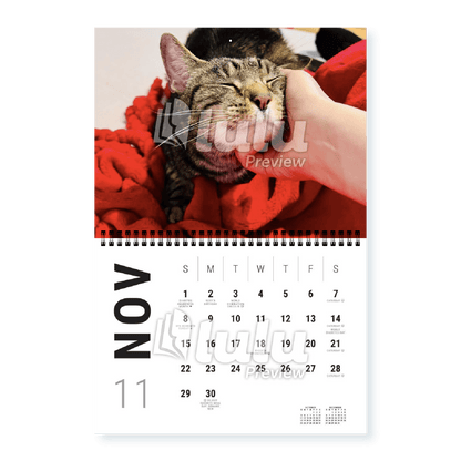 Adonis Sugar Kitty • 2026 Calendar