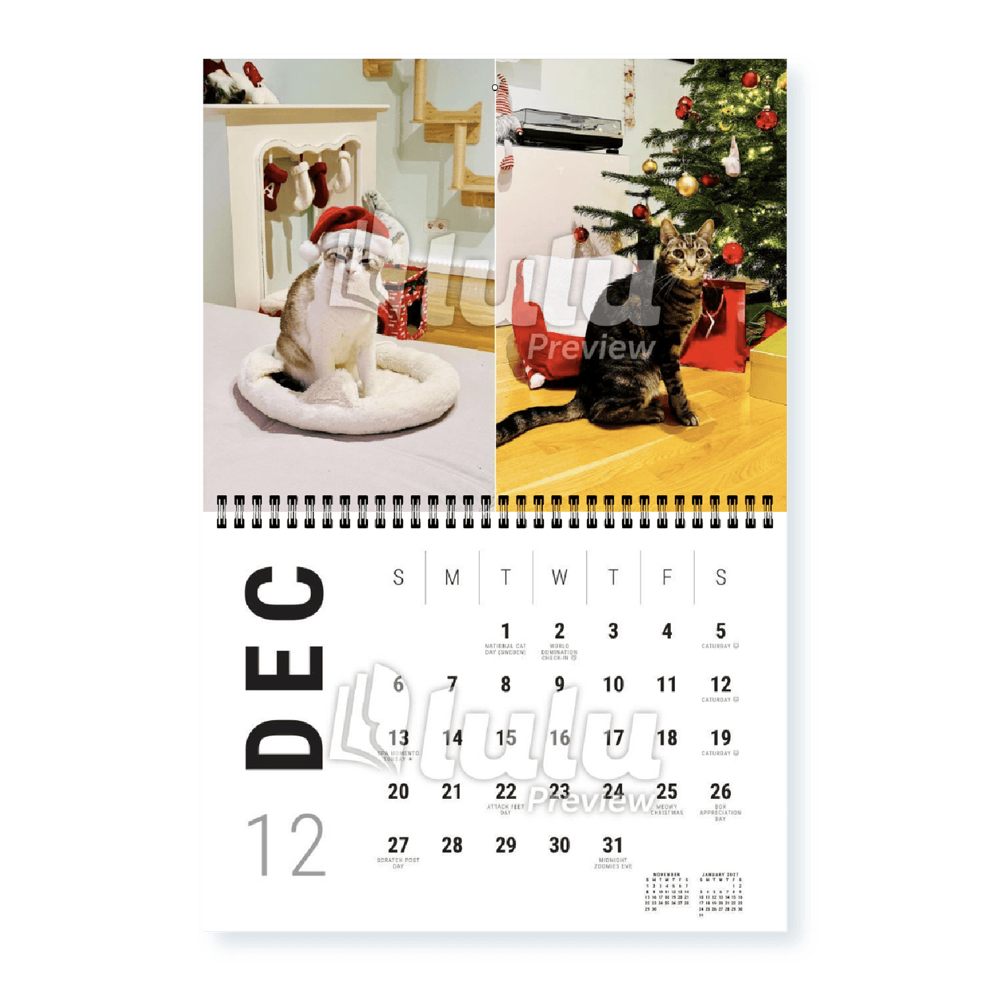 Adonis Sugar Kitty • 2026 Calendar